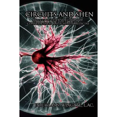 Circuits and Shen: Models of the Evolution of Consciousness and Chinese Medicine