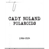 Cady Noland: Polaroids 1986-2024