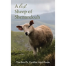 A Lost Sheep of Shenandoah: Charles Edwin Rinker of Virginia and Harry Bernard King of Iowa: Dna Reveals They Were the Same Man