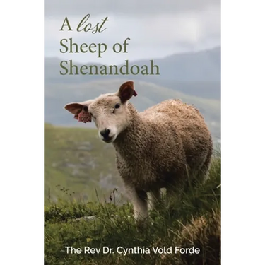 A Lost Sheep of Shenandoah: Charles Edwin Rinker of Virginia and Harry Bernard King of Iowa: Dna Reveals They Were the Same Man