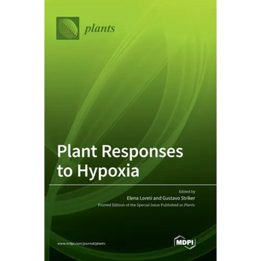 Plant Responses to Hypoxia