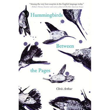 Hummingbirds Between the Pages