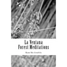 La Ventana: (Forest Meditations)