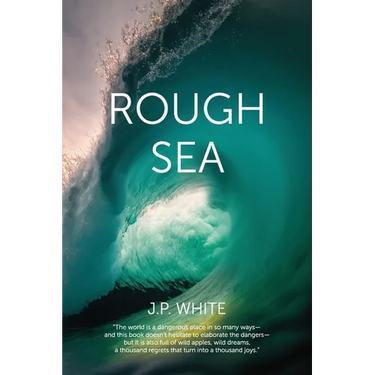 Rough Sea: poems
