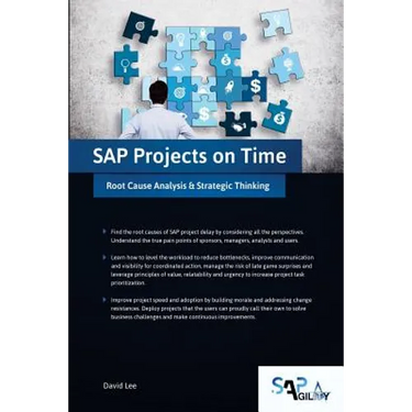 SAP Projects on Time: Root Cause Analysis & Strategic Thinking