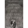 Because the Sky is a Thousand Soft Hurts