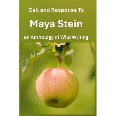 Call and Response To Maya Stein an Anthology of Wild Writing