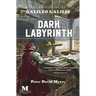Dark Labyrnith: A Novel Based on the Life of Galileo Galilei