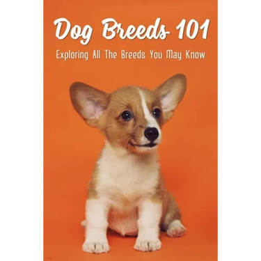 Dog Breeds 101: Exploring All The Breeds You May Know: Dog Breeds With Interesting History