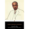 Along This Way: The Autobiography of James Weldon Johnson