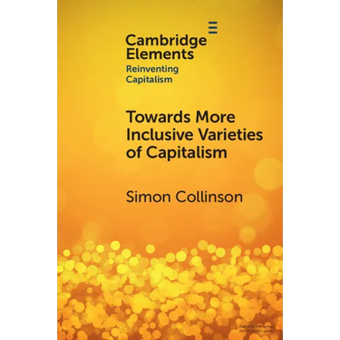 Towards More Inclusive Varieties of Capitalism