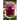 Healthy Blueberry Smoothie Recipes: Easy, Simple & Delicious Recipe Cookbook To Blend Your Way With Delicious Smoothie Creations