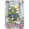 Noragami: Stray God 25
