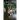 A Face Without a Reflection