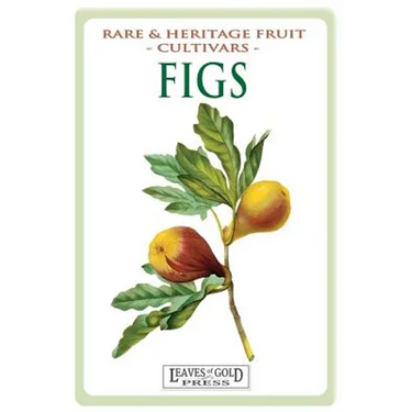 Figs: Rare and Heritage Fruit Cultivars #13