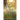 Meadow Song