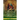 The Key of Solomon the King: A Biography Concerning King Solomon; His Magic, Conjurations and Mythical History (Biblical Pseudepigrapha)