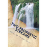 Two Prophetic Streams: ''the Prophet and the Seer''
