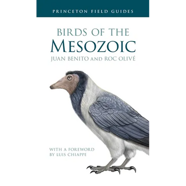 Birds of the Mesozoic