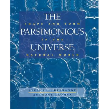 The Parsimonious Universe: Shape and Form in the Natural World