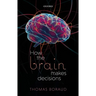 How the Brain Makes Decisions
