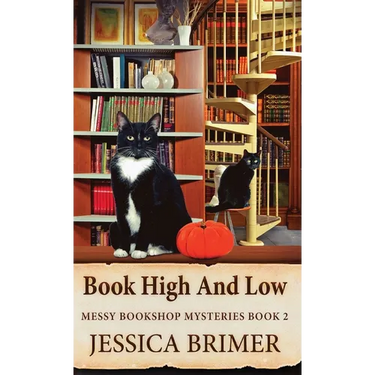 Book High And Low
