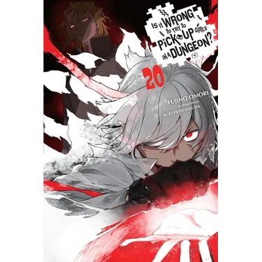Is It Wrong to Try to Pick Up Girls in a Dungeon?, Vol. 20 (Light Novel)