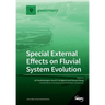 Special External Effects on Fluvial System Evolution