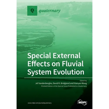 Special External Effects on Fluvial System Evolution