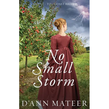 No Small Storm