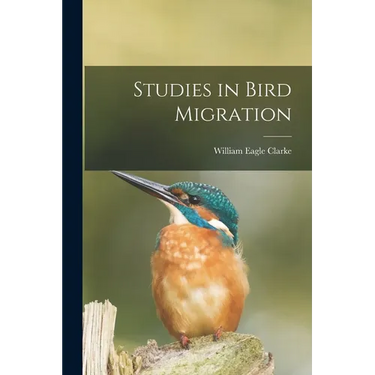 Studies in Bird Migration