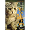 The Cat Who Went to Paris