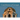 Courthouses of Georgia