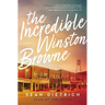 The Incredible Winston Browne: A Novel by "Sean of the South"