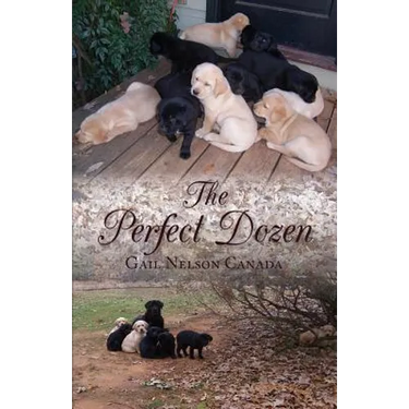 The Perfect Dozen
