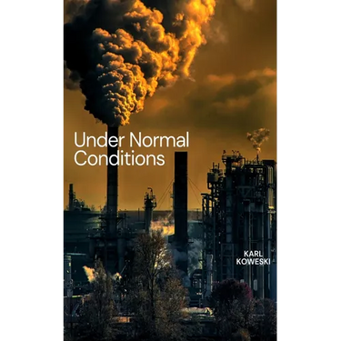 Under Normal Conditions