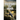 Twilight of War