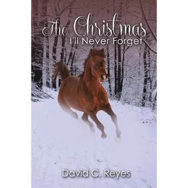 The Christmas I'll Never Forget