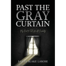 Past the Gray Curtain: My Road to Full Life as a Person with Disability
