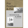 Fur Feather and Fin: Snipe & Woodcock