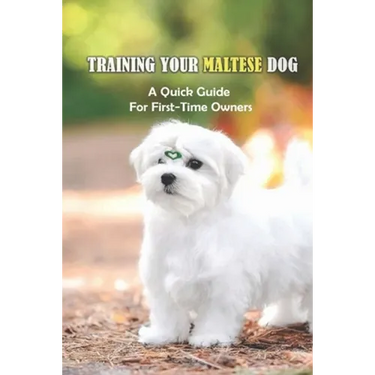 Training Your Maltese Dog: A Quick Guide For First-Time Owners: How To Potty Train A Maltese