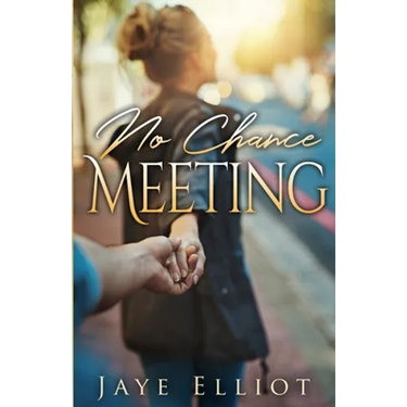 No Chance Meeting