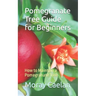 Pomegranate Tree Guide for Beginners: How to Maintain a Pomegranate Tree