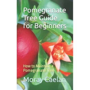 Pomegranate Tree Guide for Beginners: How to Maintain a Pomegranate Tree