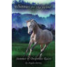 Summer of Desperate Races: A Wilderness Horse Adventure