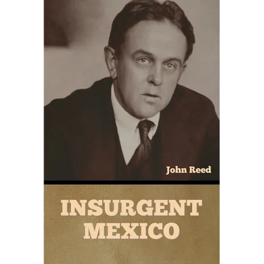 Insurgent Mexico