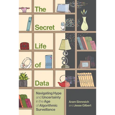 The Secret Life of Data: Navigating Hype and Uncertainty in the Age of Algorithmic Surveillance