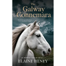 The Galway Connemara The Autobiography of an Irish Connemara Pony. If horses could talk