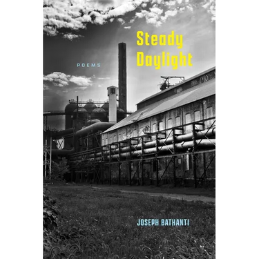 Steady Daylight: Poems