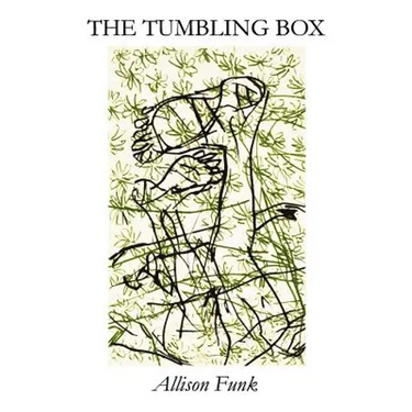 The Tumbling Box